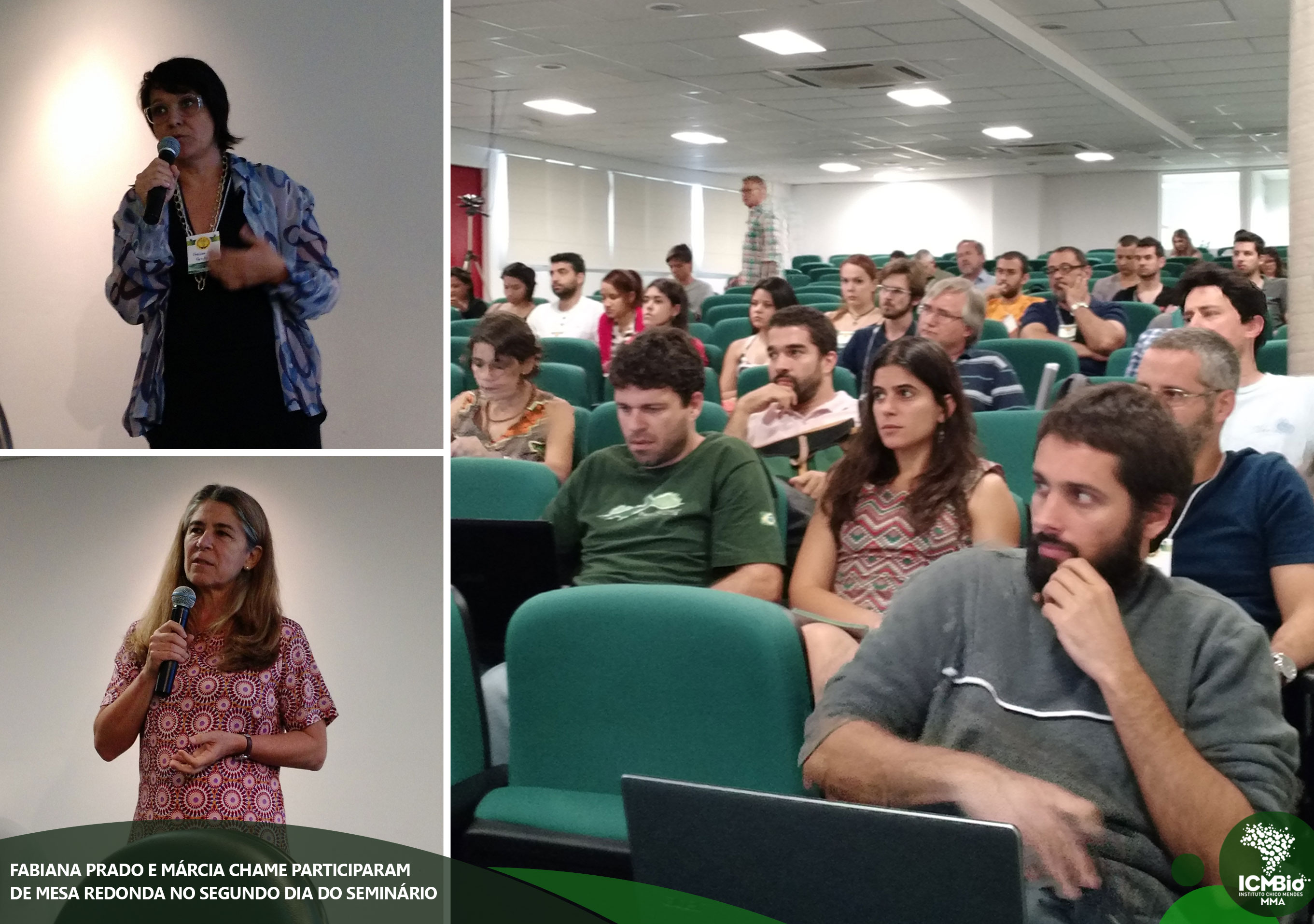 © Todos os direitos reservados. Fotos: Sandra Tavares