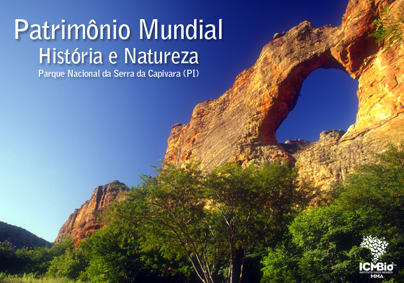 Foto: Ricardo Maia/Ibama