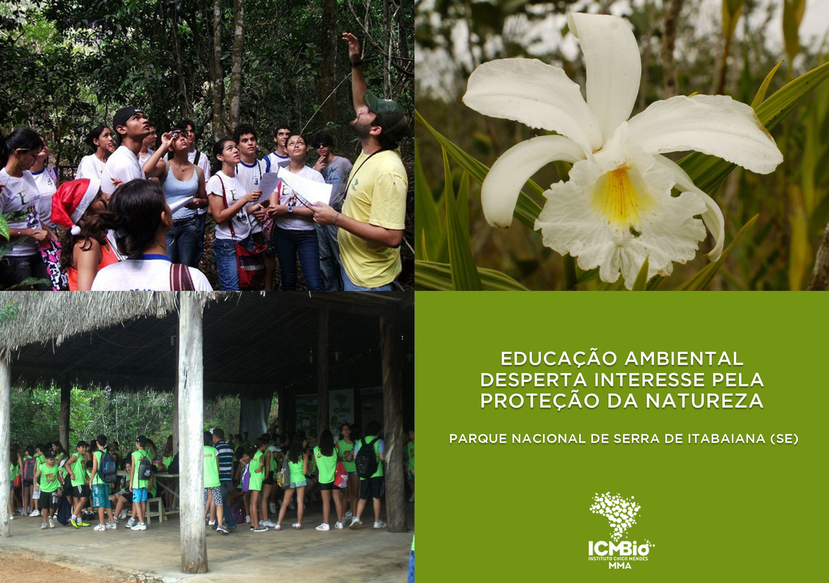  © Todos os direitos reservados. Fotos: Mayara de Lima Mota e Carlos Alberto Coutinho