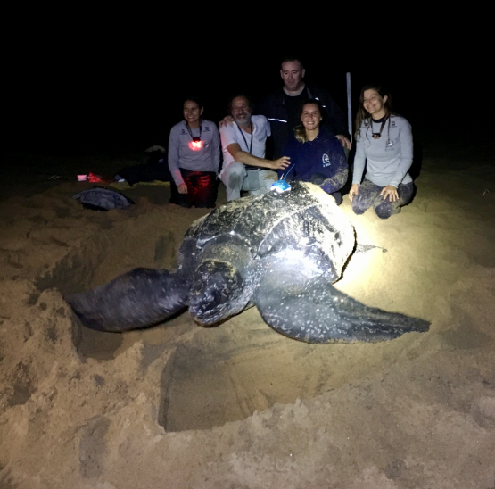 servidoresepesquisadores tamar 2017