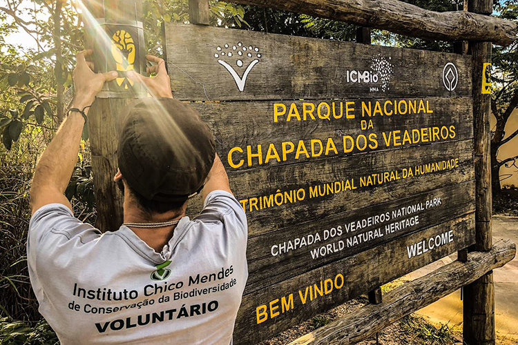 Sete quedas Fernando Tatagiba