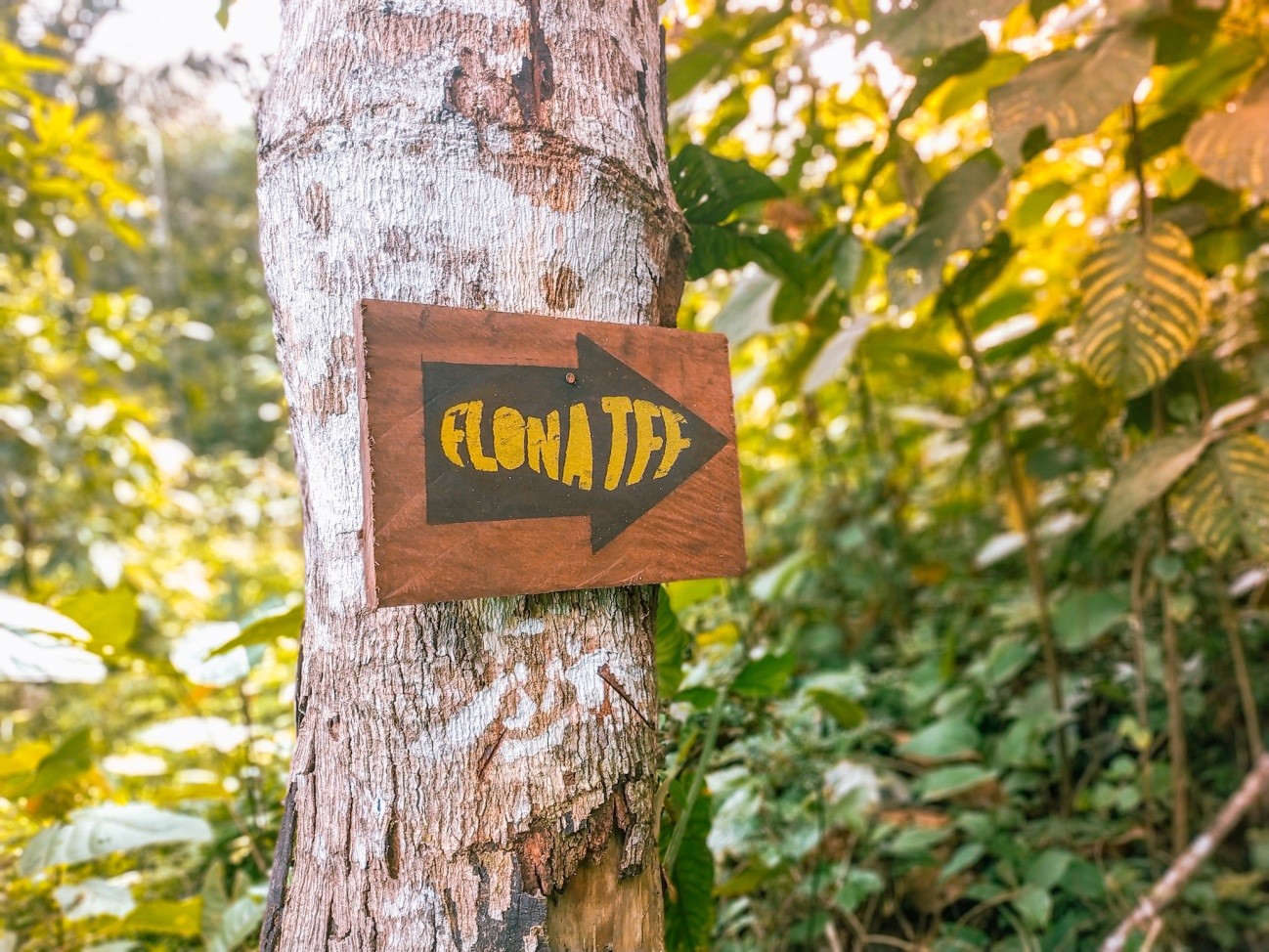 Sinalização utilizada nas trilhas da Flona de Tefé (Foto: Lucas Ramos)