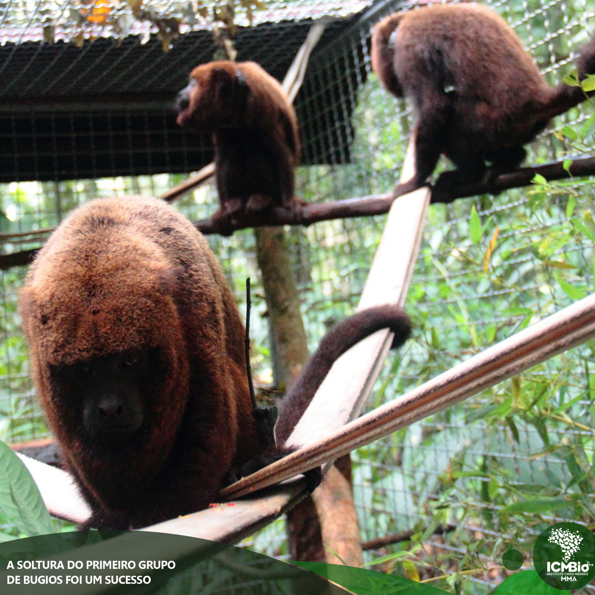 © Todos os direitos reservados. Foto: Ernesto V. Castro