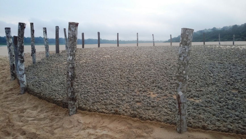 tartaruga rebio abufari