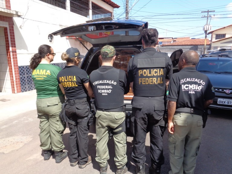 thumbnail Op. Curió Legal 1 7 768x576