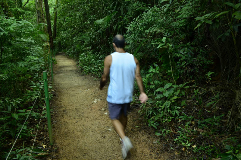 tijuca trilhas interna.jpg