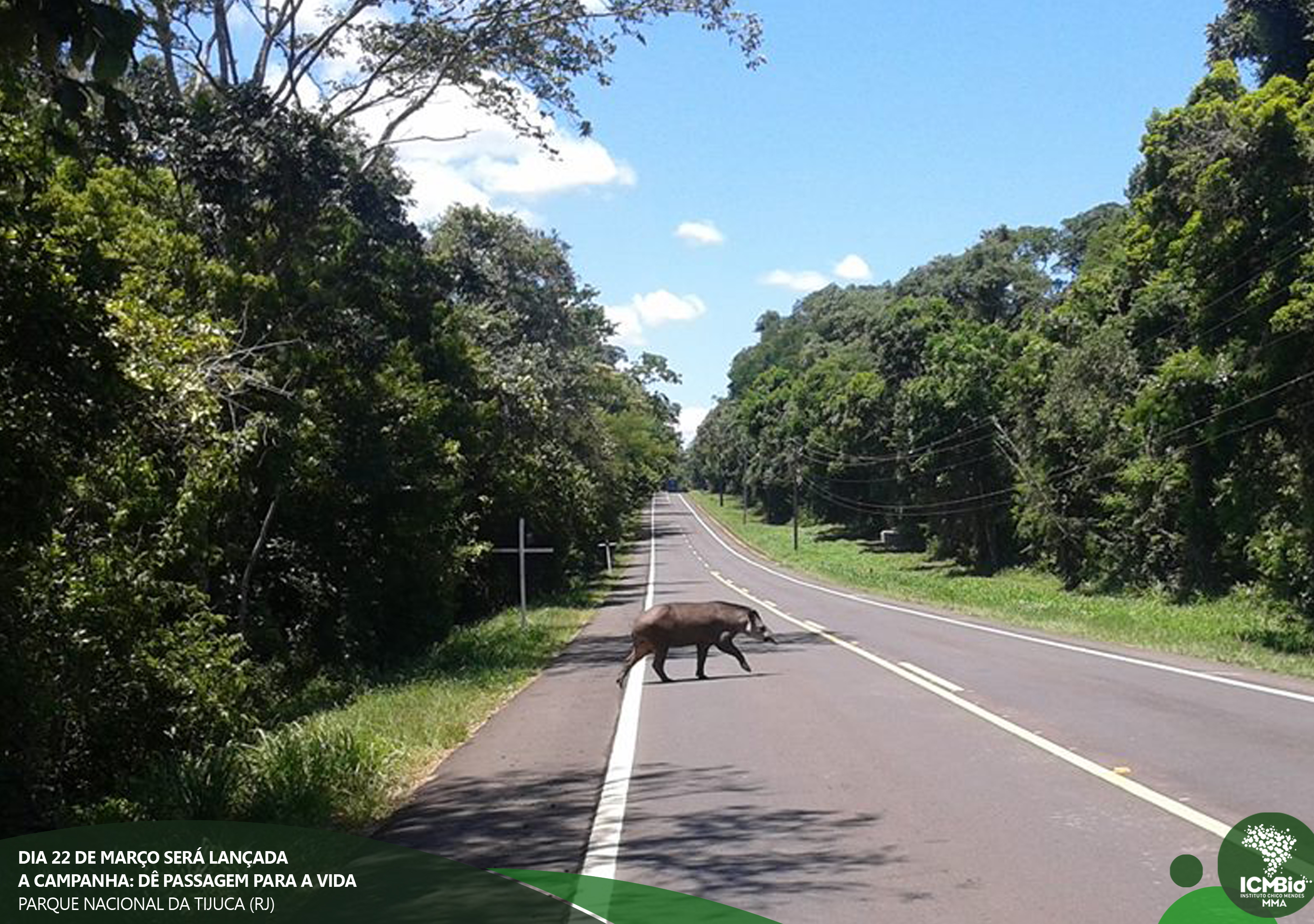 © Todos os direitos reservados. Foto: Acervo ICMBio