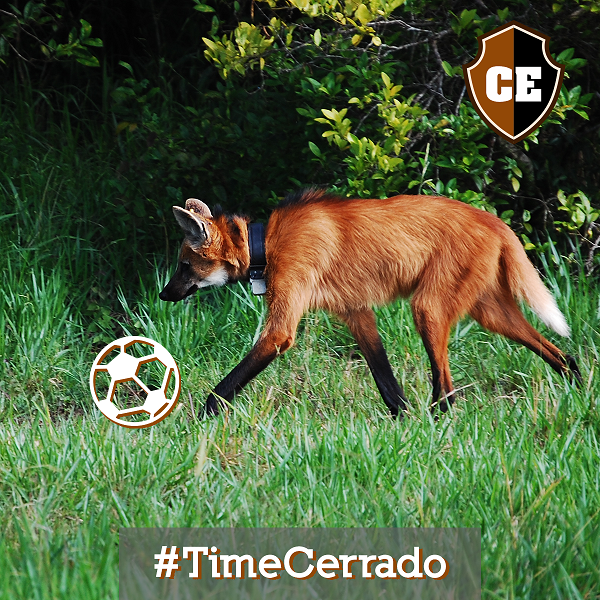 TimeCerrado Foto Joares May Júniorr