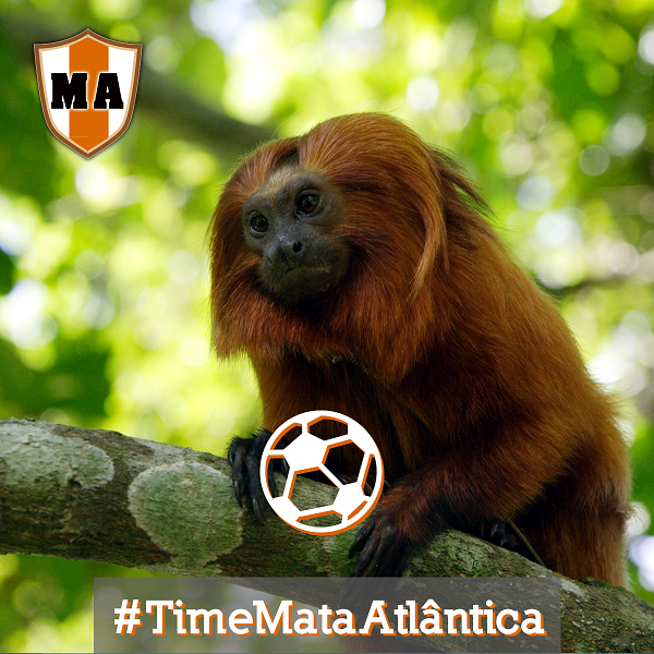 TimeMataAtlantica Foto Mehgan Murphyv