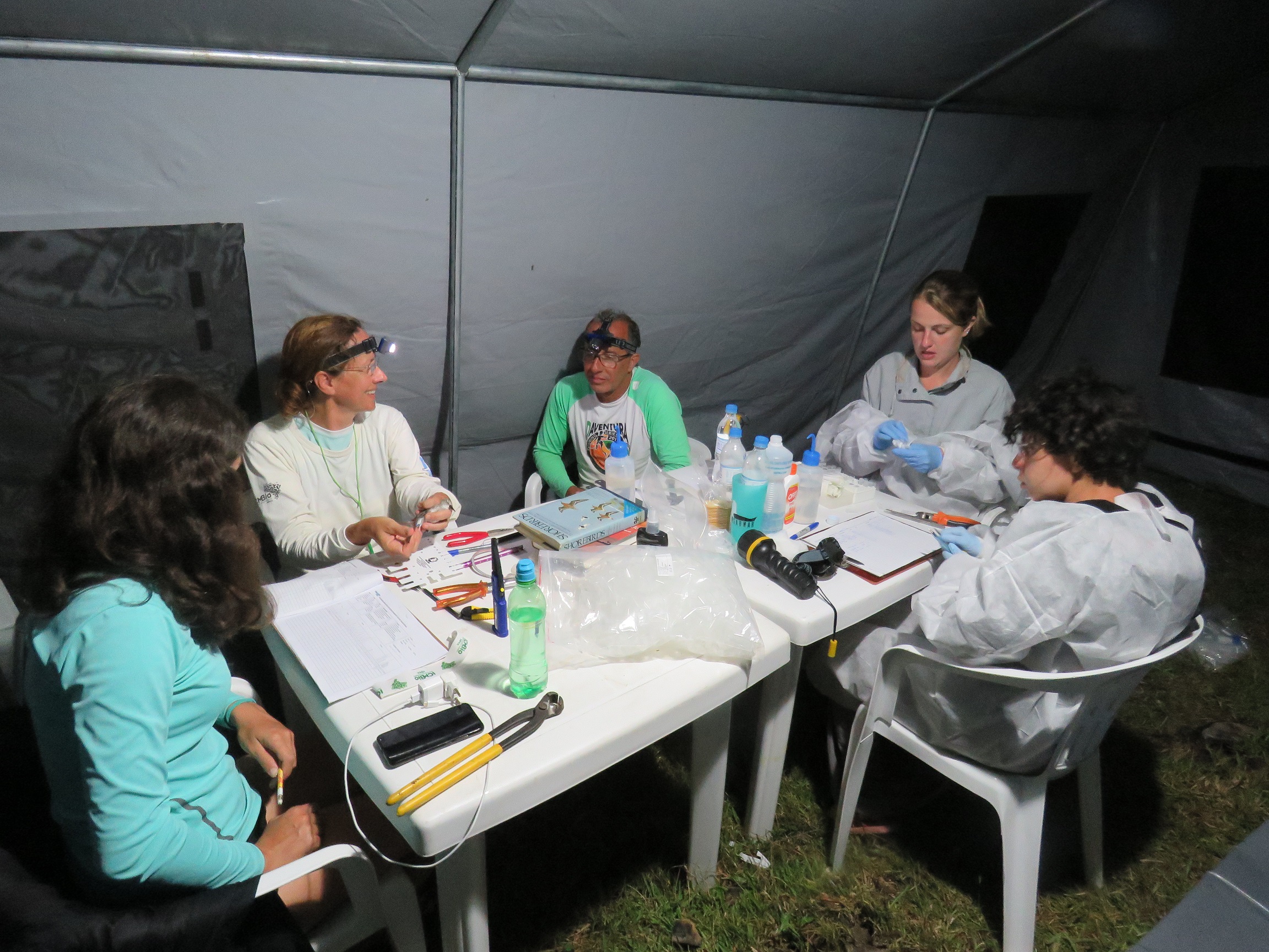 trababiometria e coleta amostras