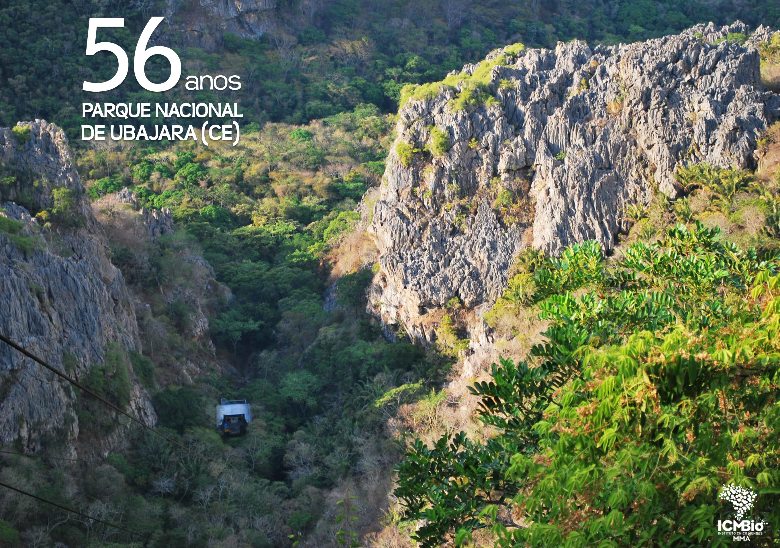 © Todos os direitos reservados. Foto: Nelson Yoneda