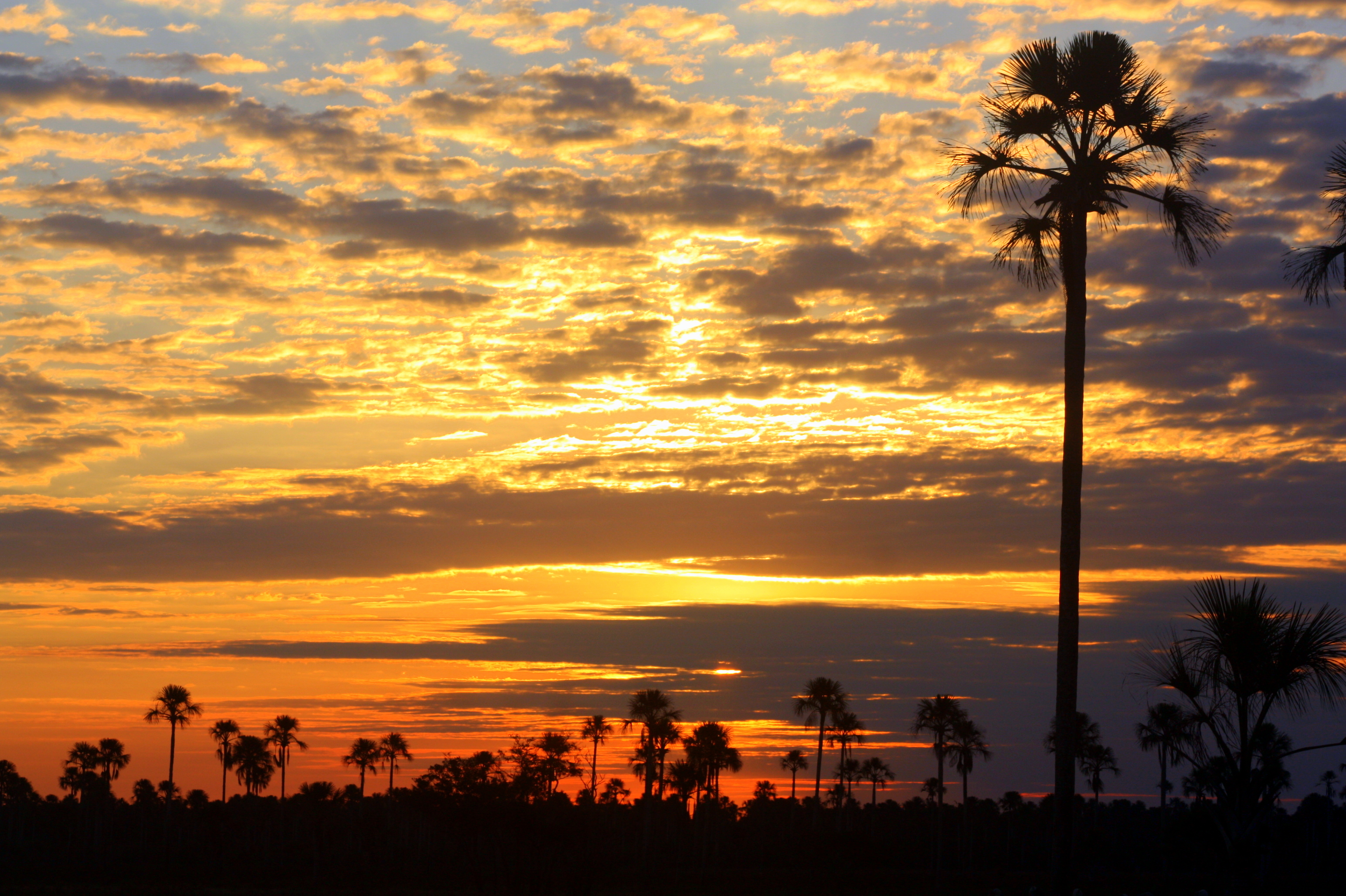 Veredas de Taquarussu2 Pablo Davi Kirchheim