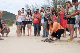 visitante-100-mil-de-2012-tamar-floripa