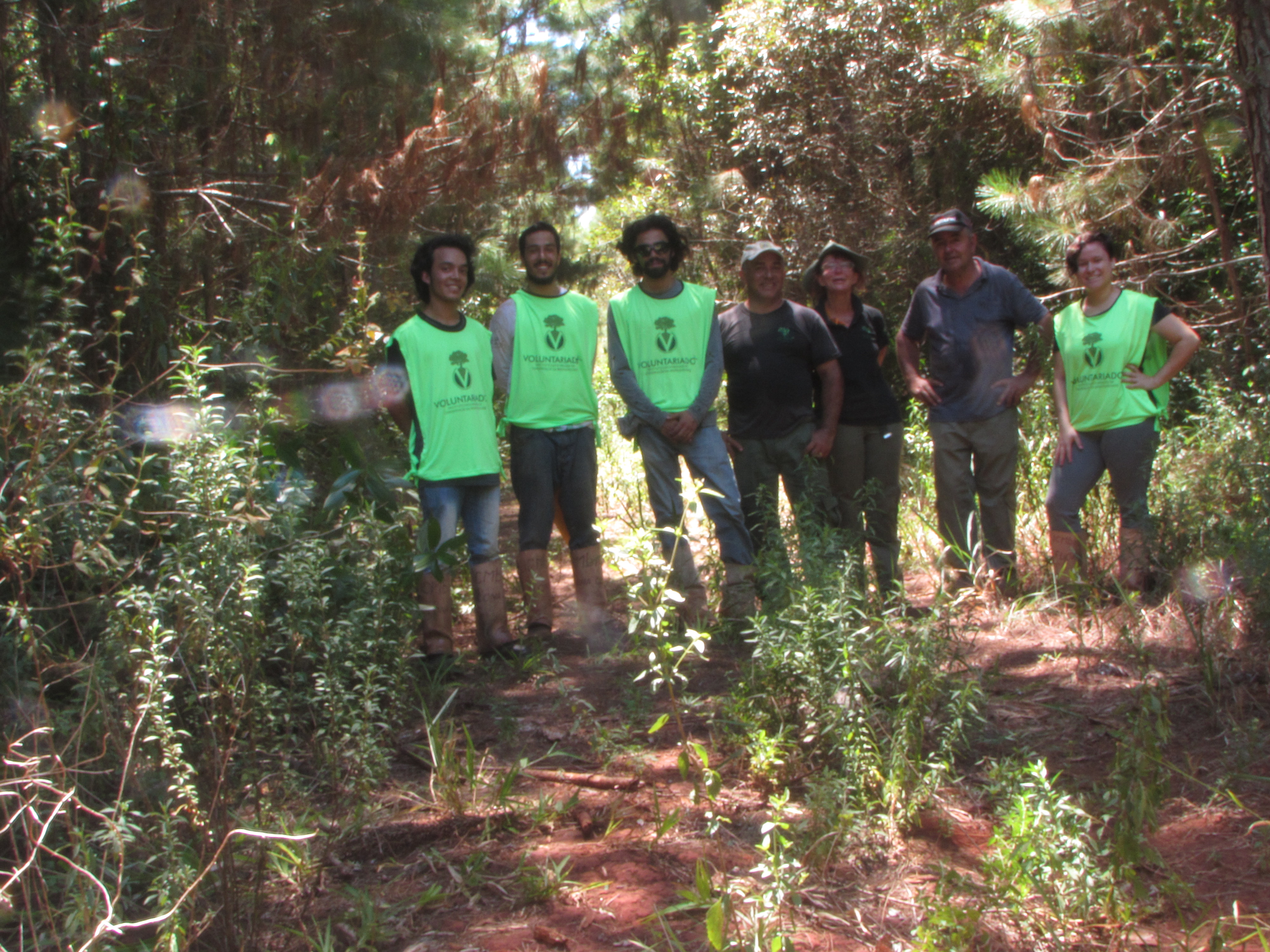 Voluntarios e equipe da Flona (Acervo ICMBio)