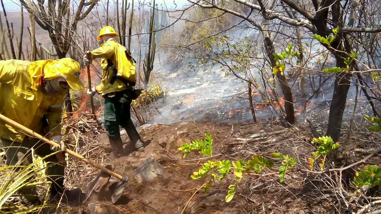 Incêndio Parque Nacional Boqueirão da Onça (Acervo ICMBio)