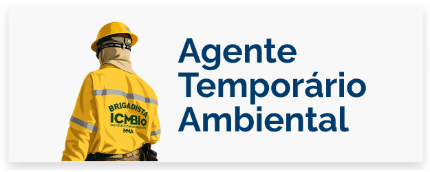 Brigadistas e Agentes Temporários Ambientais