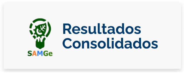 RESULTADOS CONSOLIDADOS