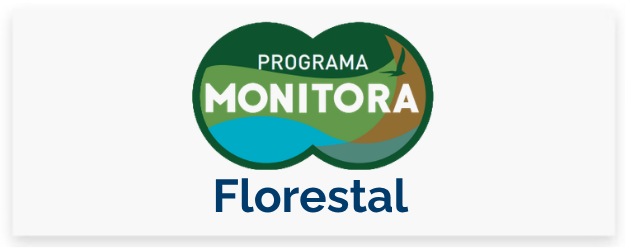 Monitora Florestal