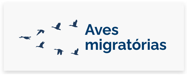 Aves Migratórias