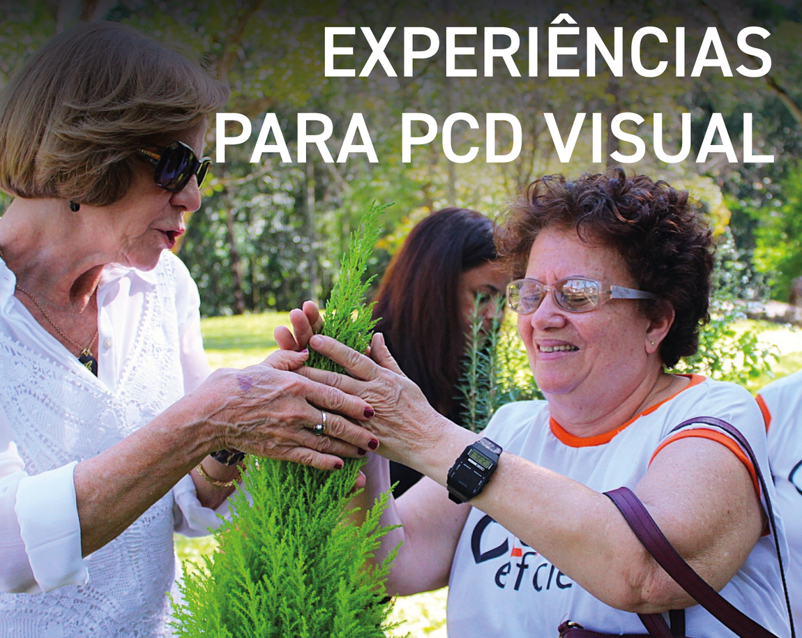 Área da PCD visual
