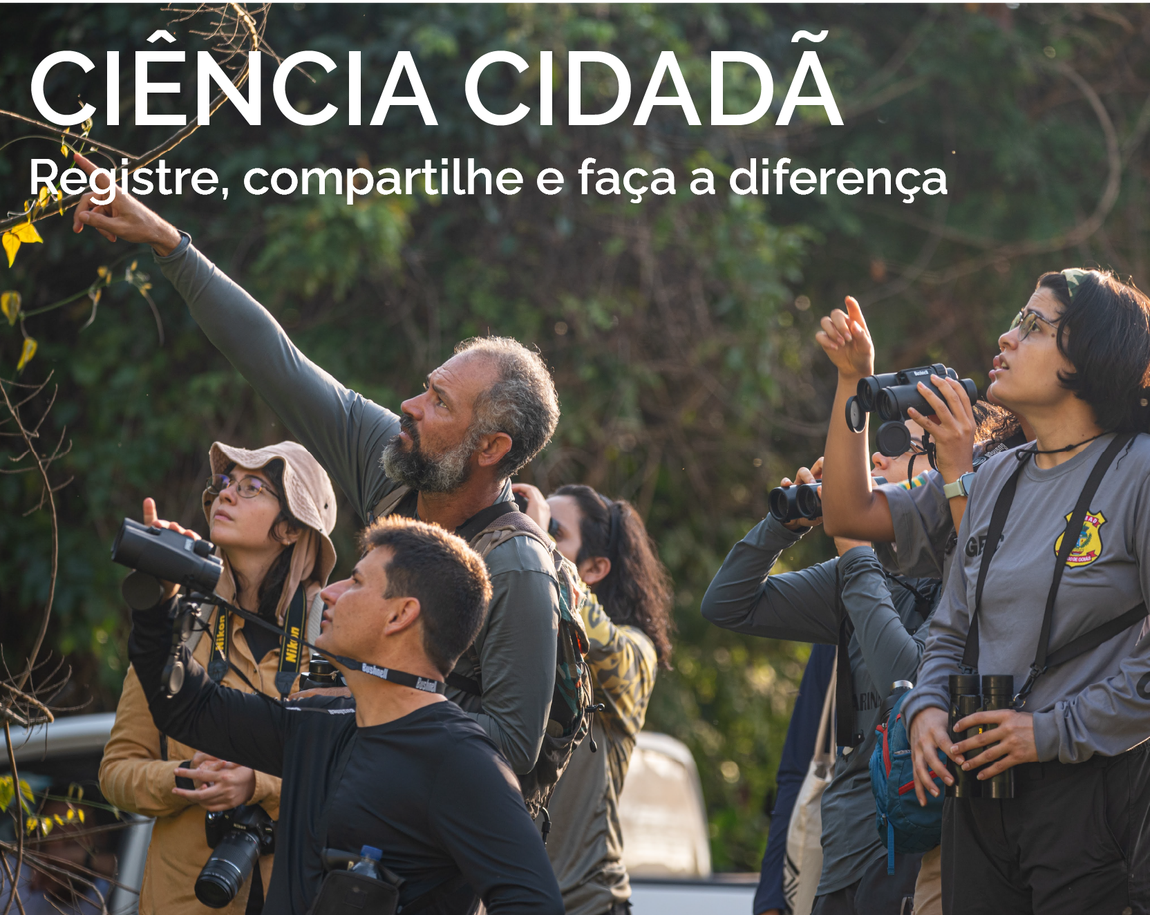 Ciência cidadã
