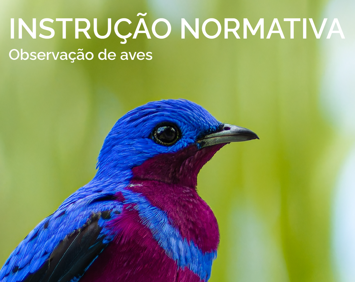 Instrução normativa