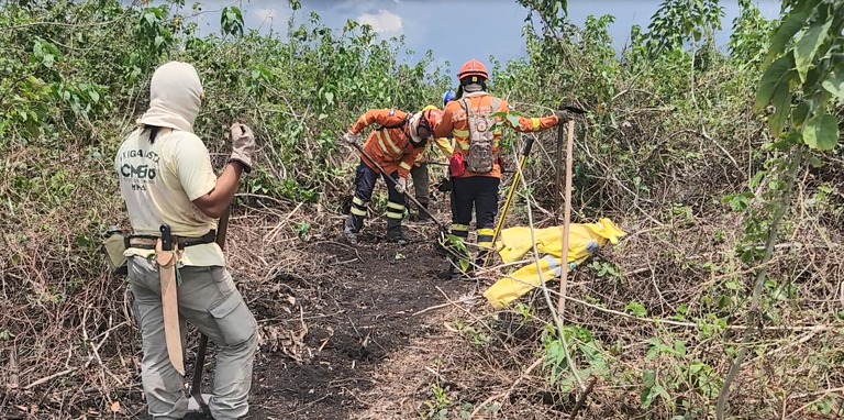 Captura de tela 2023-11-29 172112.png