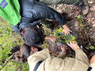 Sinalização de trilhas