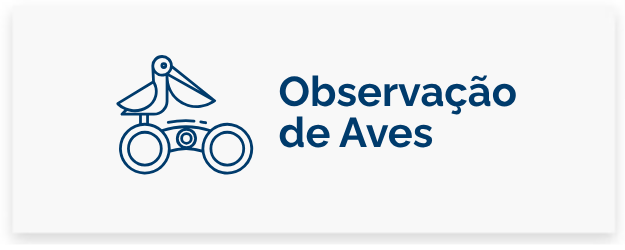 Observação de aves