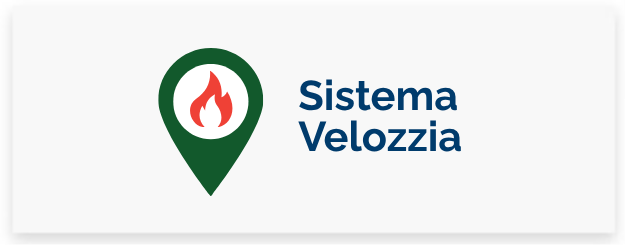 Vellozia