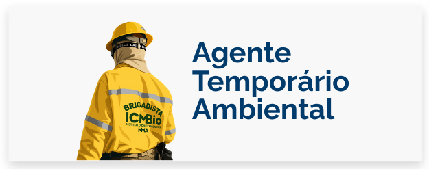 Agente Temporário Ambiental