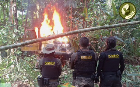 Operação Argus III: combate ao garimpo ilegal no sul do Amazonas protege rios, comunidades e direitos humanos