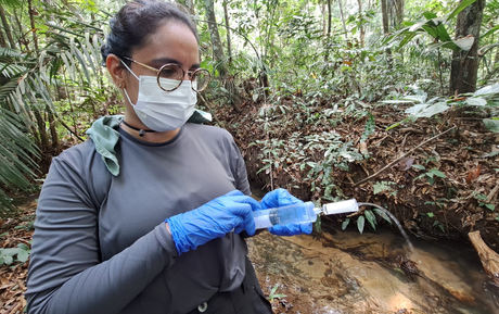 Política de Inovação do ICMBio fortalece a ciência brasileira e amplia benefícios da biodiversidade para a sociedade