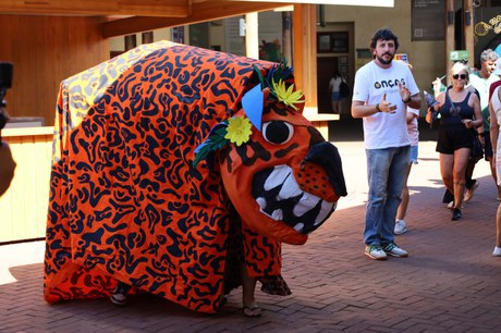 Festival da Onça-pintada reforça compromisso do Parque Nacional do Iguaçu com a conservação do maior felino das Américas