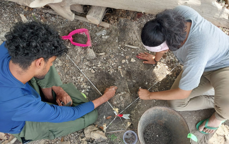 Parceria internacional fortalece pesquisas arqueológicas na Reserva Extrativista Verde para Sempre (PA)