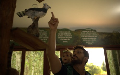 Quando o caminho sensibiliza: interpretação ambiental transforma a visitação nas UCs federais