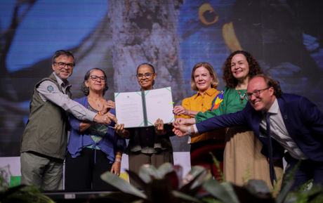 Dia Nacional dos Animais: ICMBio se destaca na conservação da fauna