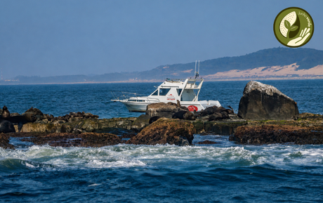 ICMBio autoriza turismo embarcado no Refúgio de Vida Silvestre da Ilha dos Lobos (RS)