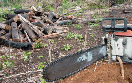 Derrubada de vetos à Lei Geral do Licenciamento Ambiental pelo Congresso Nacional coloca áreas protegidas em sério risco