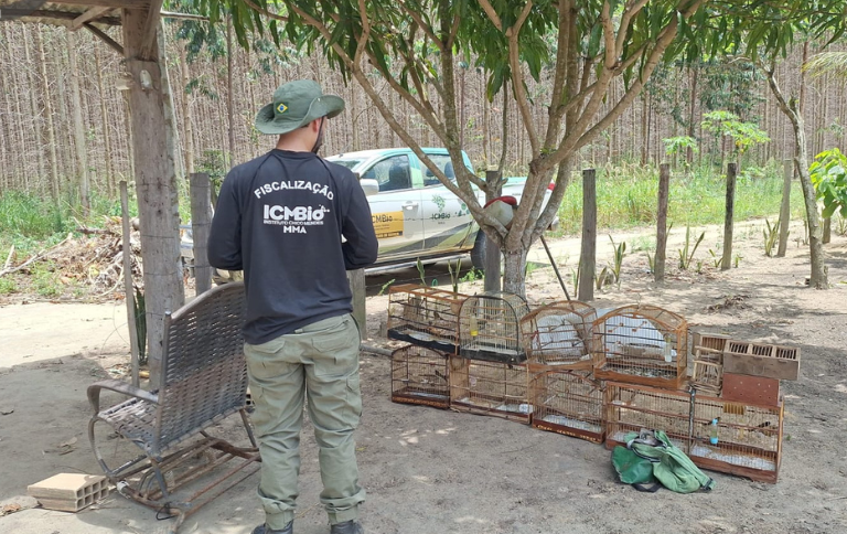 Operação de fiscalização do ICMBio no extremo sul da Bahia apreende mais de R$ 500 mil em bens