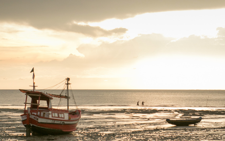 ICMBio realiza consulta pública e avança para criação de Reserva Extrativista no Maranhão