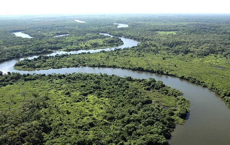 Dia das RPPNs: Sociedade e governo caminhando lado a lado pela conservação permanente da natureza
