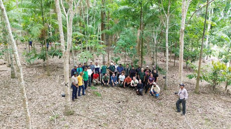 ICMBio e Embrapa realizam o I Intercâmbio em Sistemas Agroflorestais com    produtores da Reserva Extrativista Chico Mendes (AC)