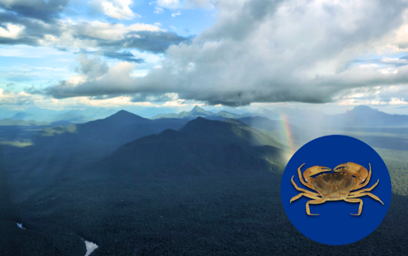 Novo gênero de caranguejo é identificado no Parque Nacional do Pico da Neblina (AM)
