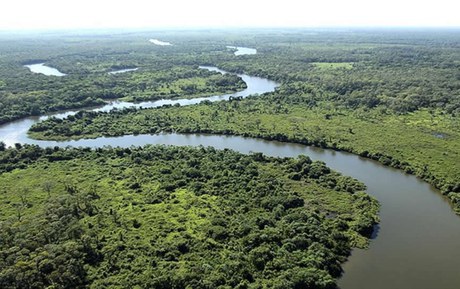 Dia das RPPNs: Sociedade e governo caminhando lado a lado pela conservação permanente da natureza