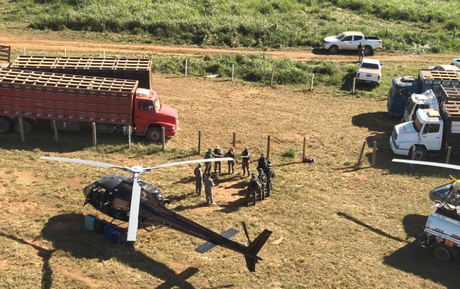 Operação Pasto Nullus: ICMBio encerra operação no Pará com 436 cabeças de gado ilegais apreendidas e mais de R$ 6 milhões em multas aplicadas