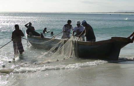 ICMBio lança mecanismo inédito de credenciamento nacional de OSCs