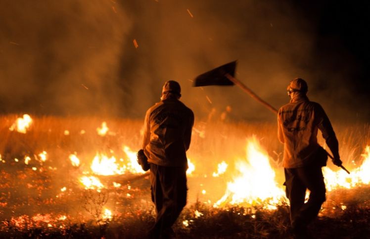 Ministério do Meio Ambiente e Mudança do Clima reforça combate aos incêndios no Pará; ICMBio amplia atuação em unidades de conservação