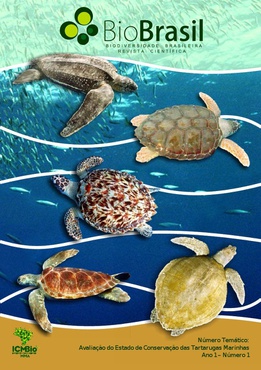 tartaruga