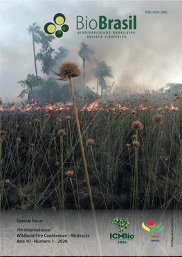 7th wildfire